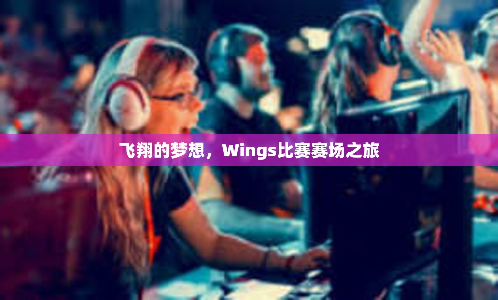 飞翔的梦想，Wings比赛赛场之旅