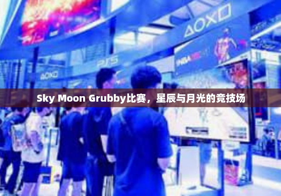 Sky Moon Grubby比赛，星辰与月光的竞技场